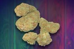 Secret Cookies strain