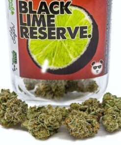 Black Lime Reserve Strain
