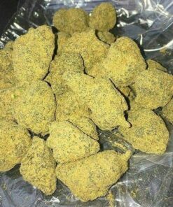 Moon Rock
