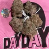 Day Day cookies strain