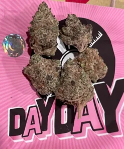 Day Day cookies strain