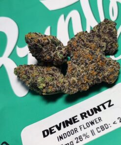 Devine Runtz Strain