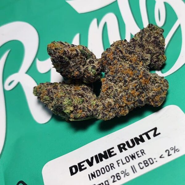 Devine Runtz Strain