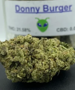 Donny Burger Strain