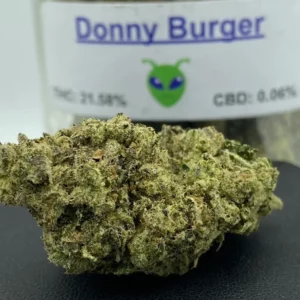 Donny Burger Strain