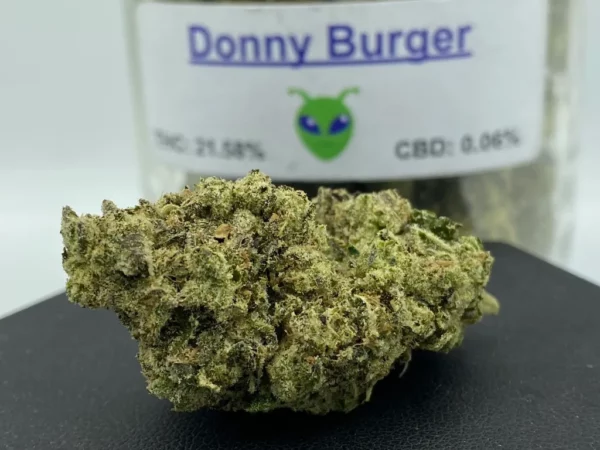 Donny Burger Strain