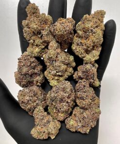 Chocolate Cherry Runtz