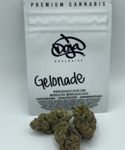 Gelonade strain