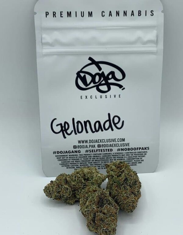 Gelonade strain