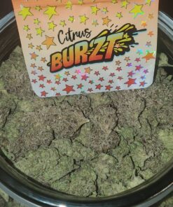 Citrus Burzt Strain