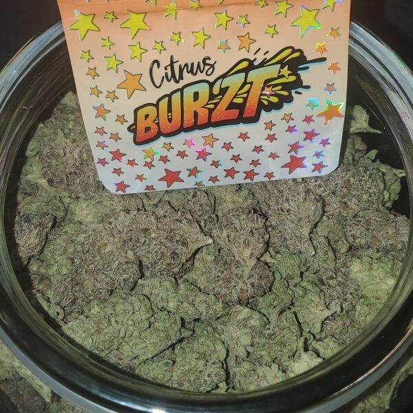 Citrus Burzt Strain