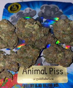 Animal piss strain