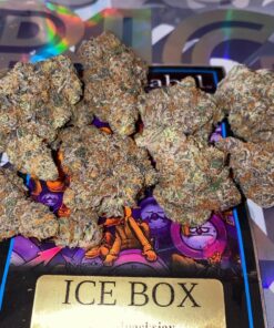 Ice box Strain