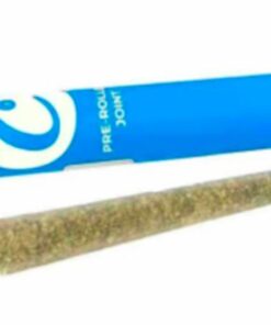 Blue Agave High Lights Pre-Roll | 1g