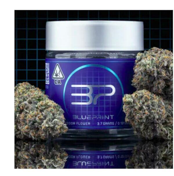 Blue Print - Dr. Freeze - Indoor