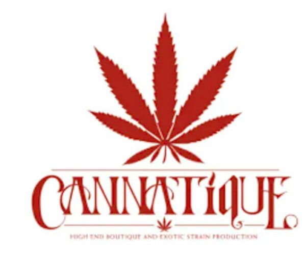 Cannatique - Demon Time - Indoor