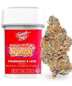 Jungle Boys | Strawberries N Later - 3.5g Flower