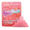 Kushy Punch - Indica Peach Mango Individual - Gummy - 10ct - 100mg