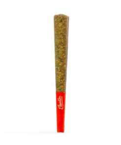 Mango Sherbet Infused Pre-Roll | 1g