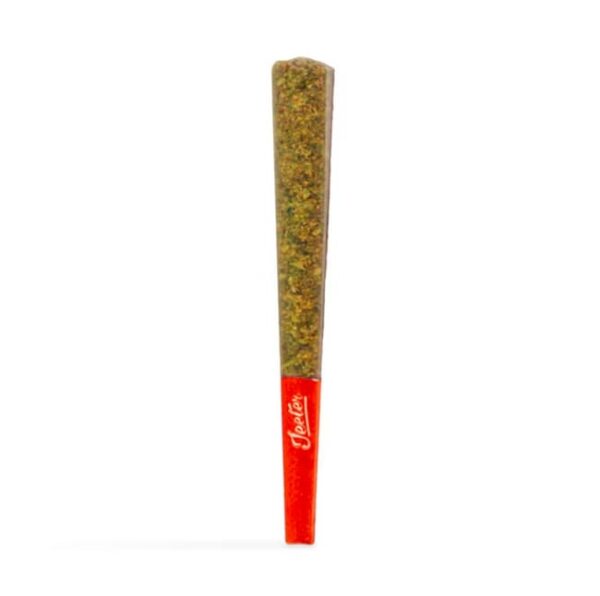 Mango Sherbet Infused Pre-Roll | 1g