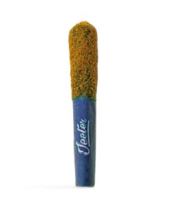 Mango Sherbet Infused Pre-Roll 5-pack | 2.5g