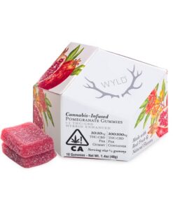 Pomegranate 1:1 CBD + Hybrid Enhanced Gummies | 100mg