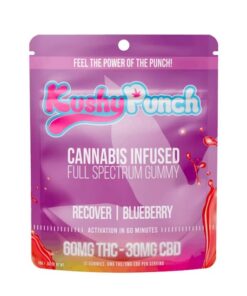 Recover Blueberry 2:1 Gummies