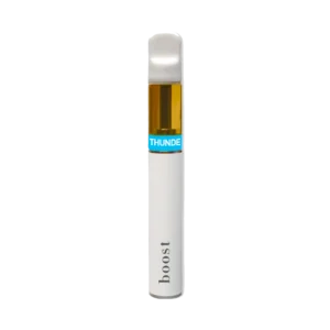 Boost 2 Gram Disposable Vapes