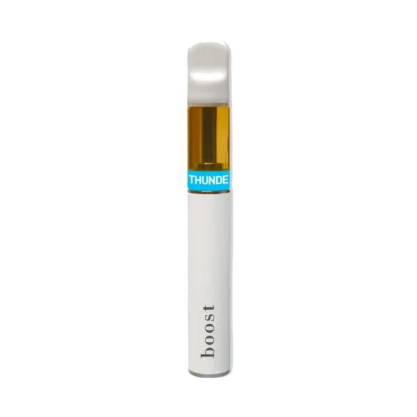 Boost 2 Gram Disposable Vapes
